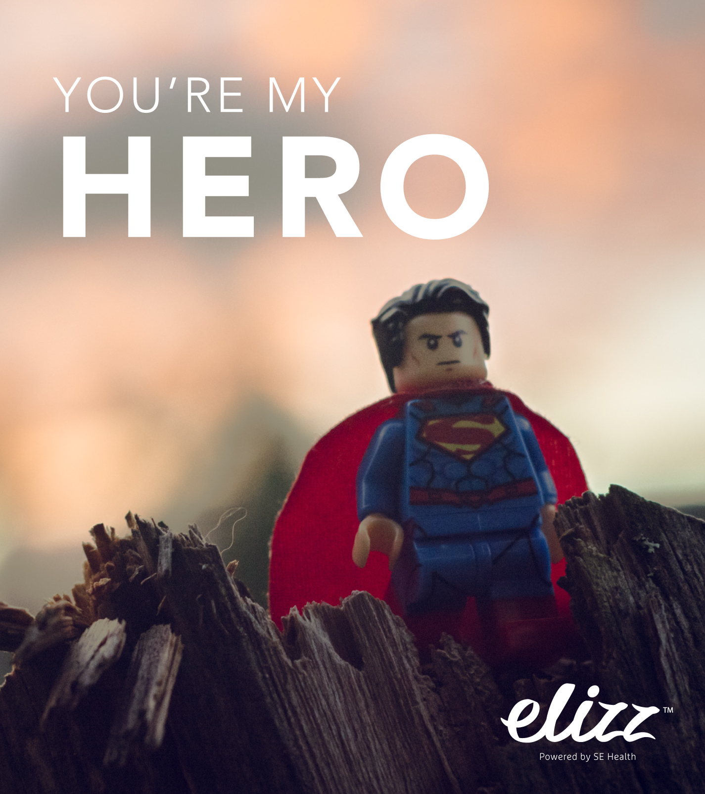 Elizz ECard_D