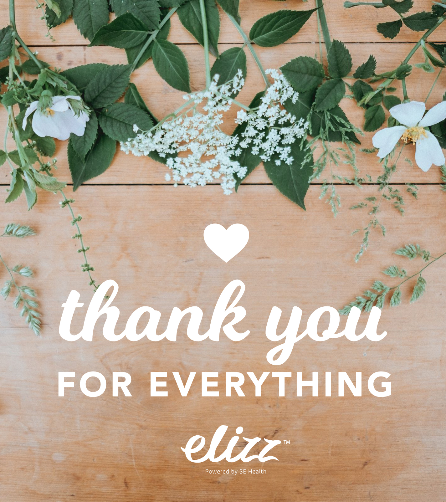 Elizz ECard_H
