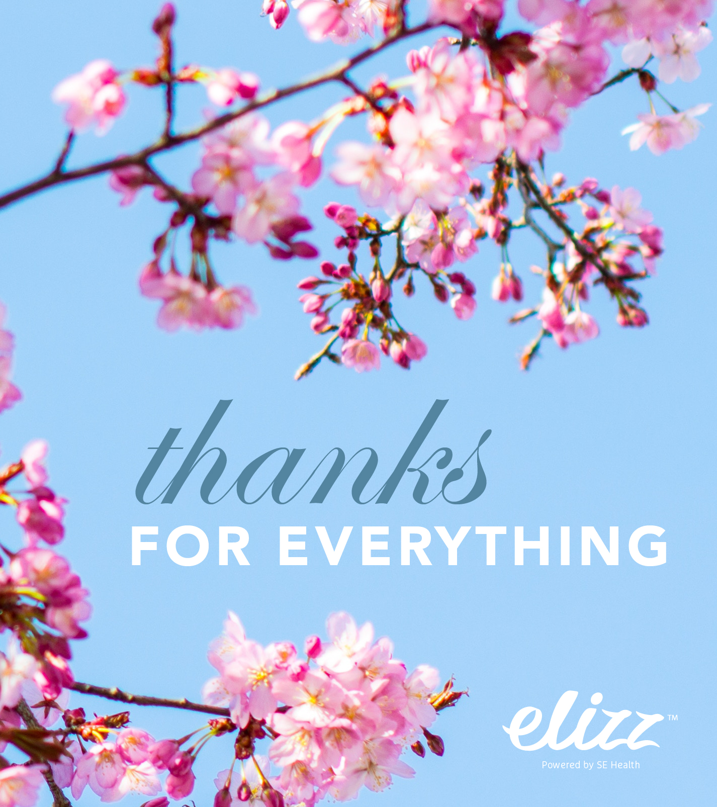 Elizz ECard_J